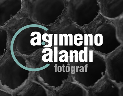 A. Gimeno Alandi (logo)