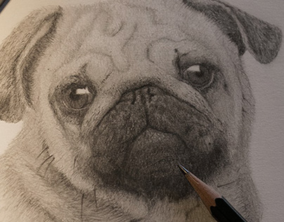 Puppy Draw