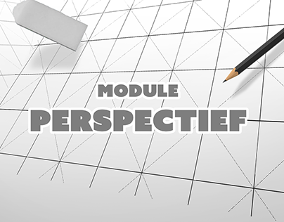 Module Perspectief (NL)