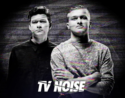 TV Noise (art)