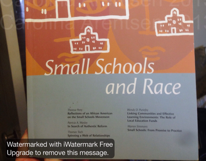 "Small Schools and Race"Carolina Arentsen-illustration.