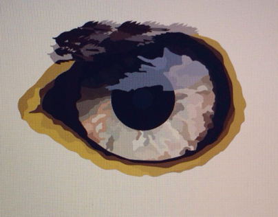 Eye for design project