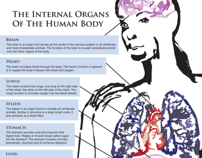 Map of the human body