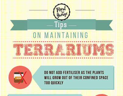 Tips on maintaining terrariums