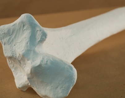 Plaster Bone