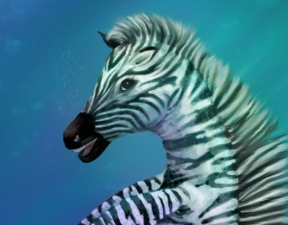 The Sea Zebra