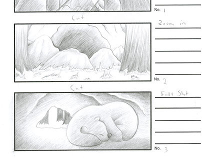 Bearskin Storyboard Project