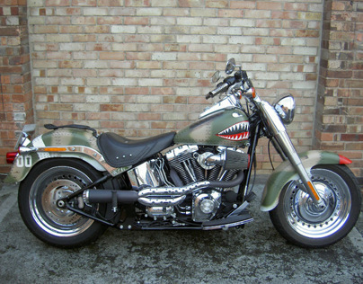 P40 WarHawk Themed Harley