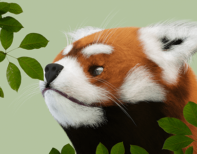 Red panda (3D MODEL)
