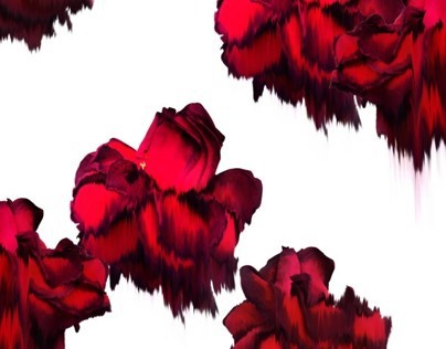 Red Red Rose- blurred Rose Print Project