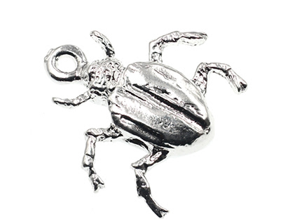 The silver Beetle Charm