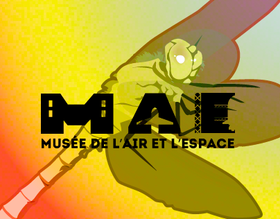 Musée de l'Air et de l'Espace - Affiches