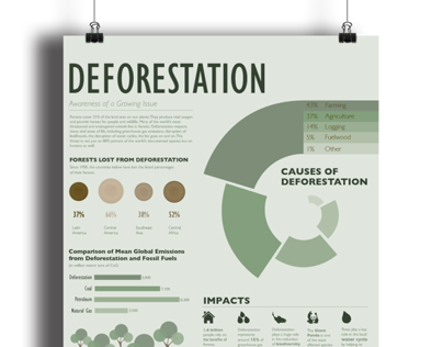 Deforestation | Infographic