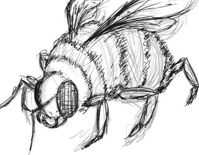 Concepts : Conservation of Bees
