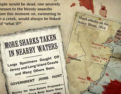 Shark Attack Diaries