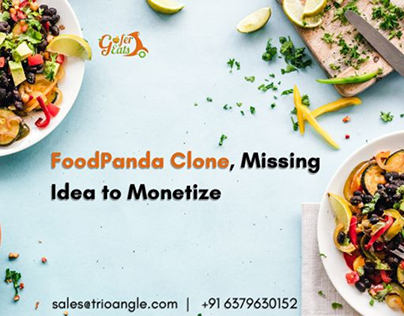 FoodPanda Clone, Missing Idea to Monetize