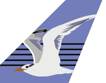 Royal Tern International Airlines Logo 