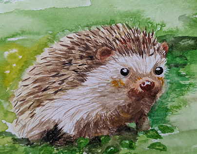 Heghehog. Watercolor painting.