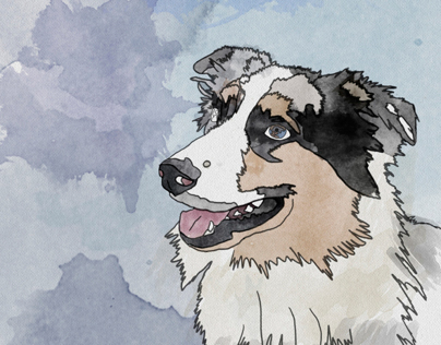 Digital Watercolors - Dog Portraits