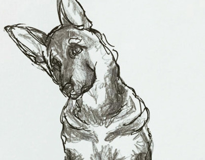 German Shepherd Illustration