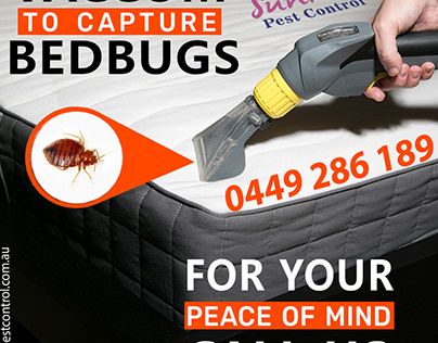 Bedbugs Pest Control Service Werribee