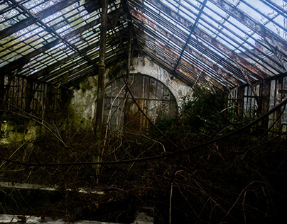 Abandon Glasshouse