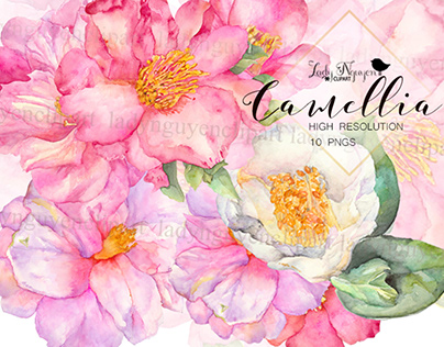Camellia Watercolor Clipart Set