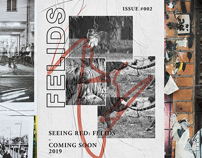 "Seeing Red: Symposium of Zoo Exhibitry Design" Promo