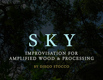 SKY Improvisation for Amplified Wood and Processing