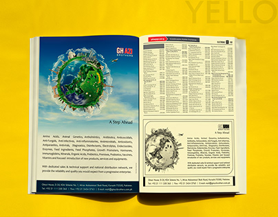 Yellow Pages Ad
