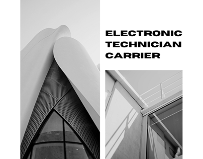 Electronic technician carrier