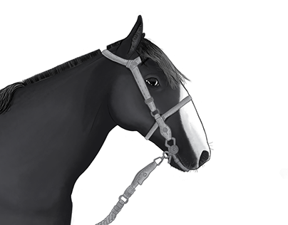 Retrato digital de caballo chileno, Natre