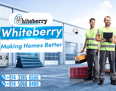 whiteberry for maintenance in qatar