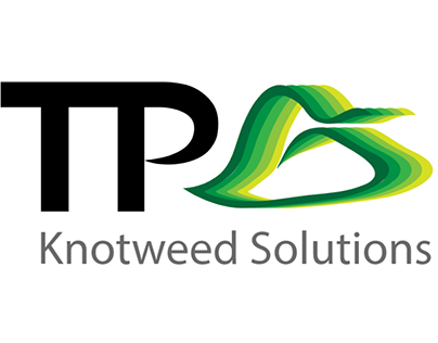 Infographic slides for Japanese Knotweed Solutions UK