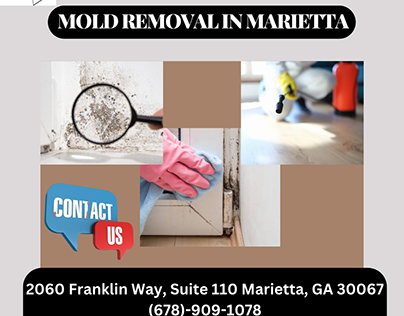 Finding The Best Mold Removal In Marietta