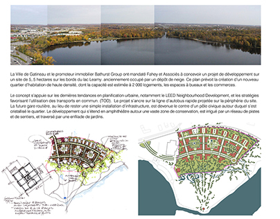 Lake Leamy urban design process