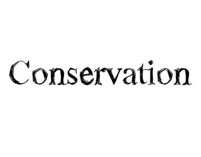 Conservation work