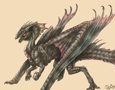 Female Dragon Concept
