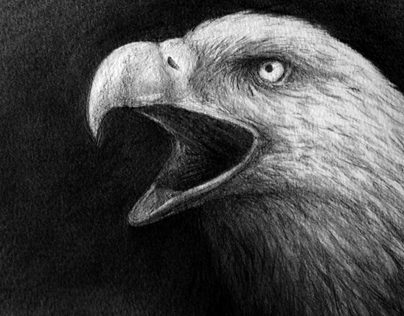 Eagle of Death