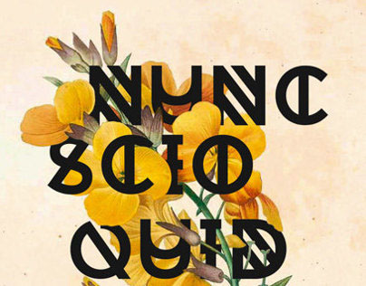 "Nunc scio quid sit amor" Poster Design