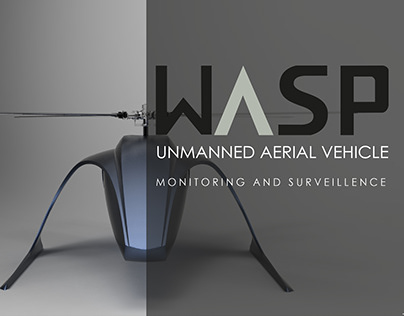 WASP - Unmanned Aerial Vehicle