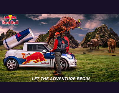 PHOTO MANIPULATION FOR RED bULL
