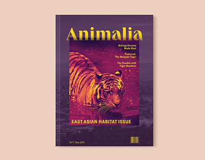 Animalia | Magazine Concept