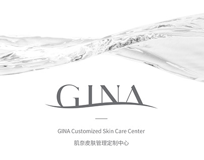 GINA Customized Skin Care Center VI Design