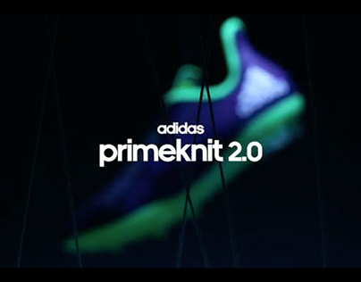 Adidas Primeknit 2.0
