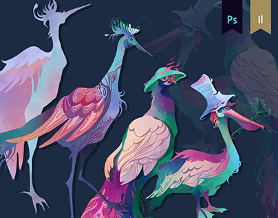 Birds | pt. 1