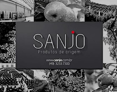 Sanjo, produtos de Origem.