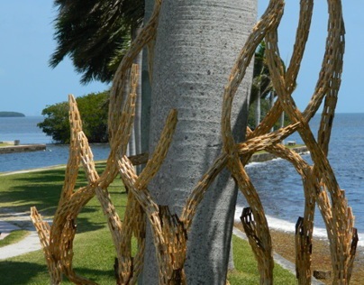 Deering Estate Installation 2014: Miami Vine by Stecca