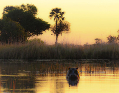 Africa - Botswana 2013