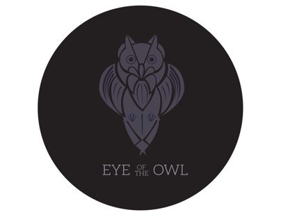 Project thumbnail - Eye of the Owl